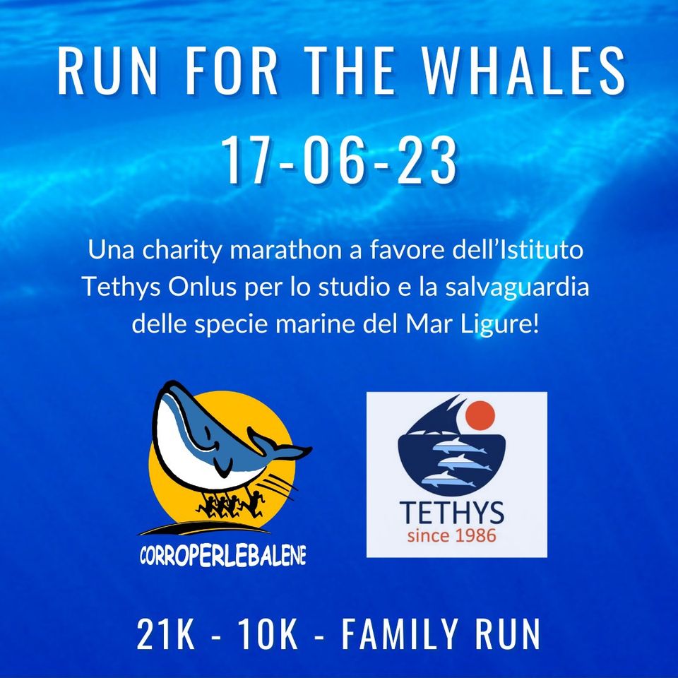 run for the whales